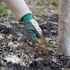 5 Rodzajów nawozów, które najlepiej stosować jesienią